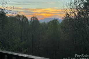 1618 Walnut Creek Rd, Waynesville, NC 28786 - Photo 22