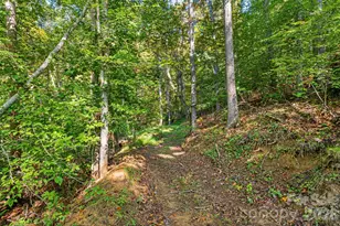 456 Maney Br Rd, Burnsville, NC 28714 - Photo 38