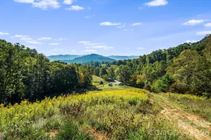 456 Maney Br Rd, Burnsville, NC 28714 - Photo 28