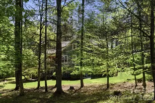 280 Bear River Lodge Trail, Marshall, NC 28753 - Photo 4