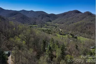 307 Dancing Leaf Lane, Bakersville, NC 28705 - Photo 24