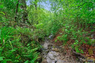 2380 Old Fort Rd, Black Mountain, NC 28711 - Photo 20
