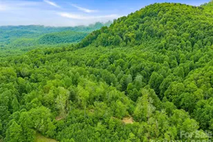 2380 Old Fort Rd, Black Mountain, NC 28711 - Photo 24