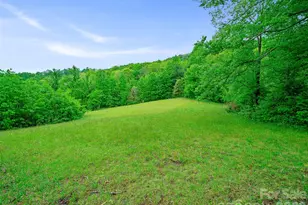 2380 Old Fort Rd, Black Mountain, NC 28711 - Photo 26