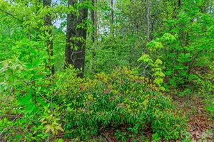 2380 Old Fort Rd, Black Mountain, NC 28711 - Photo 22