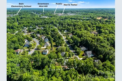 7536 Hannah Alexander Lane, Mint Hill, NC 28227 - Photo 4