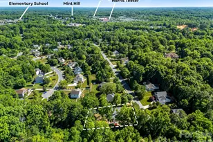 7536 Hannah Alexander Ln, Mint Hill, NC 28227 - Photo 4