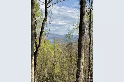 1414 Easy Wind Drive #56, Swannanoa, NC 28778 - Photo 6