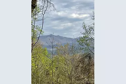 1414 Easy Wind Drive #56, Swannanoa, NC 28778 - Photo 8