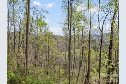 00 Willow Lane, Robbinsville, NC 28711 - Photo 12