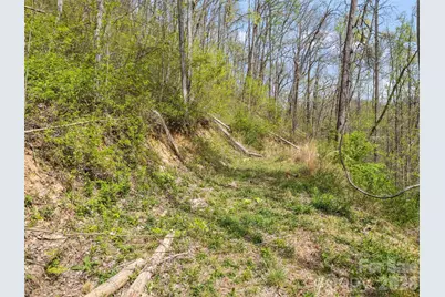 00 Willow Lane, Robbinsville, NC 28711 - Photo 14