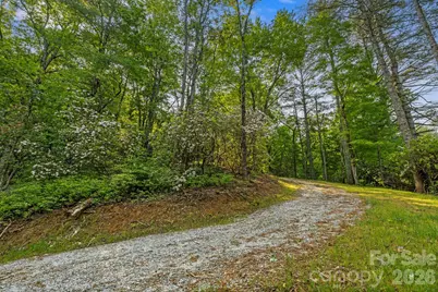 251 Paul McCoy Road, Lake Toxaway, NC 28747 - Photo 10