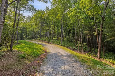251 Paul McCoy Road, Lake Toxaway, NC 28747 - Photo 8