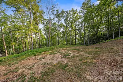 251 Paul McCoy Road, Lake Toxaway, NC 28747 - Photo 2