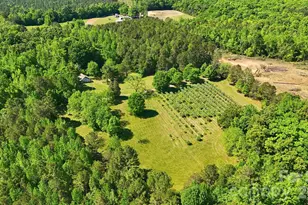 2275 River Rd, Richfield, NC 28137 - Photo 4