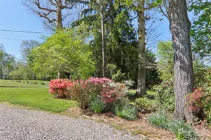 927 Ladson Rd, Mills River, NC 28759 - Photo 46