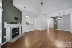 14721 Lions Pride Ct, Charlotte, NC 28273 - Photo 8