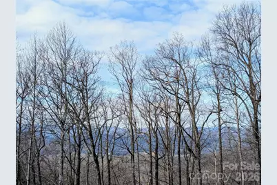 1064 Skye Drive, Pisgah Forest, NC 28768 - Photo 22