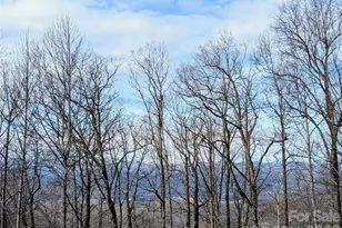 1064 Skye Dr, Pisgah Forest, NC 28768 - Photo 22