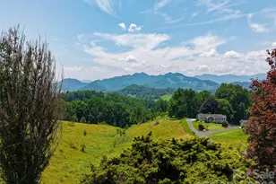 80 Gobblers Knob Dr, Clyde, NC 28721 - Photo 8