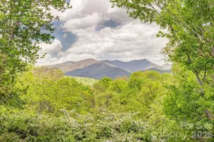 6 Clear Vista Dr, Asheville, NC 28805 - Photo 34