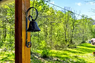 488 Cad Campbell Rd, Bakersville, NC 28705 - Photo 6