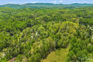 31 Firefly Ln, Saluda, NC 28773 - Photo 40
