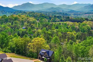 244 Westridge Farm Rd, Asheville, NC 28804 - Photo 6