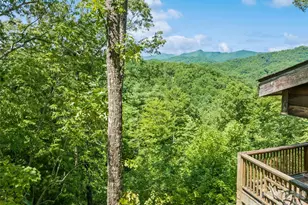 299 Blue Ridge Pkwy, Bryson City, NC 28713 - Photo 24