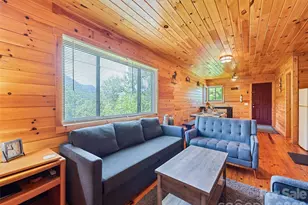 299 Blue Ridge Pkwy, Bryson City, NC 28713 - Photo 4