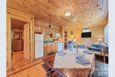 299 Blue Ridge Parkway, Bryson City, NC 28713 - Photo 10