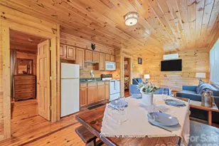 299 Blue Ridge Pkwy, Bryson City, NC 28713 - Photo 10