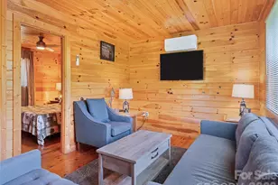 299 Blue Ridge Pkwy, Bryson City, NC 28713 - Photo 6