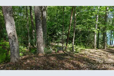 105 Beacon Ridge Drive, Connelly Springs, NC 28612 - Photo 22