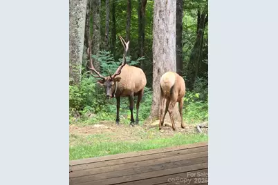 16 Standing Rock Ridge, Maggie Valley, NC 28751 - Photo 20
