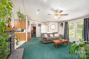 66 Green Oak Rd, Asheville, NC 28804 - Photo 10