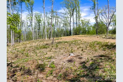 693 Tea House Drive #905, Asheville, NC 28803 - Photo 22