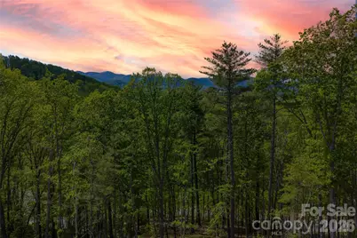 693 Tea House Drive #905, Asheville, NC 28803 - Photo 6