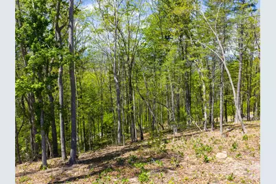693 Tea House Drive #905, Asheville, NC 28803 - Photo 20