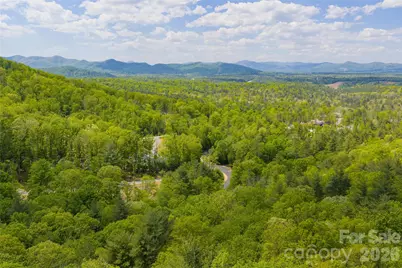693 Tea House Drive #905, Asheville, NC 28803 - Photo 1