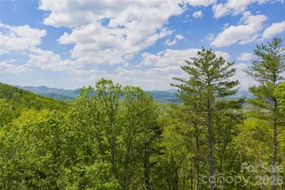 693 Tea House Drive #905, Asheville, NC 28803 - Photo 4
