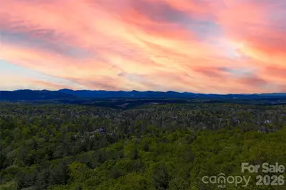 693 Tea House Drive #905, Asheville, NC 28803 - Photo 10