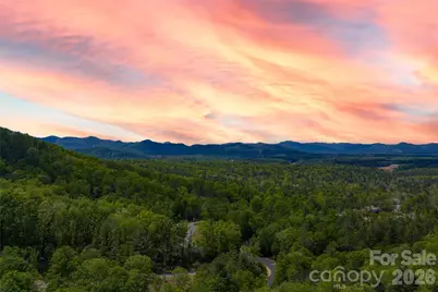 693 Tea House Drive #905, Asheville, NC 28803 - Photo 8