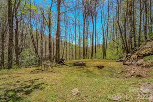426 Cook Town Rd, Bakersville, NC 28705 - Photo 42