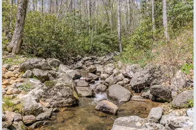 426 Cook Town Road, Bakersville, NC 28705 - Photo 44