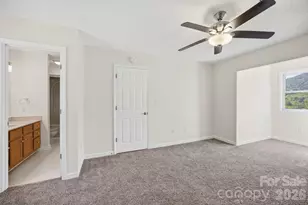 29 Small Mountain Dr, Asheville, NC 28805 - Photo 36