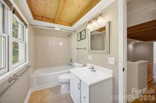 29 Small Mountain Dr, Asheville, NC 28805 - Photo 34