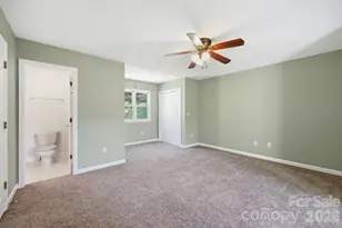 29 Small Mountain Dr, Asheville, NC 28805 - Photo 38
