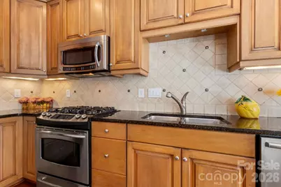 705 Congressional Lane, Fort Mill, SC 29708 - Photo 14