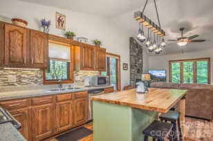 22 Dalonigei Ct, Brevard, NC 28712 - Photo 8